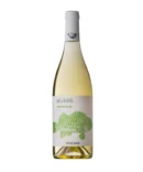 Vino Bianco Toscana Vermentino IGT 2022