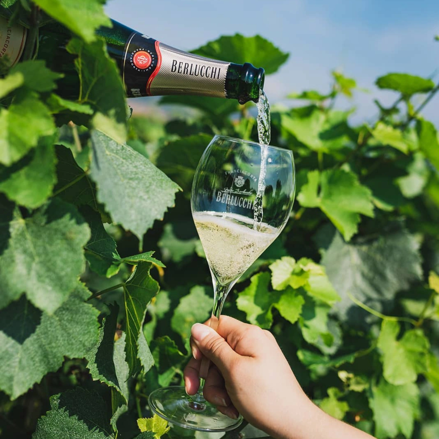 Franciacorta DOCG '61 Rosé - Berlucchi 750 ml 1 Franciacorta DOCG '61 Rosé - Berlucchi 750 ml 1