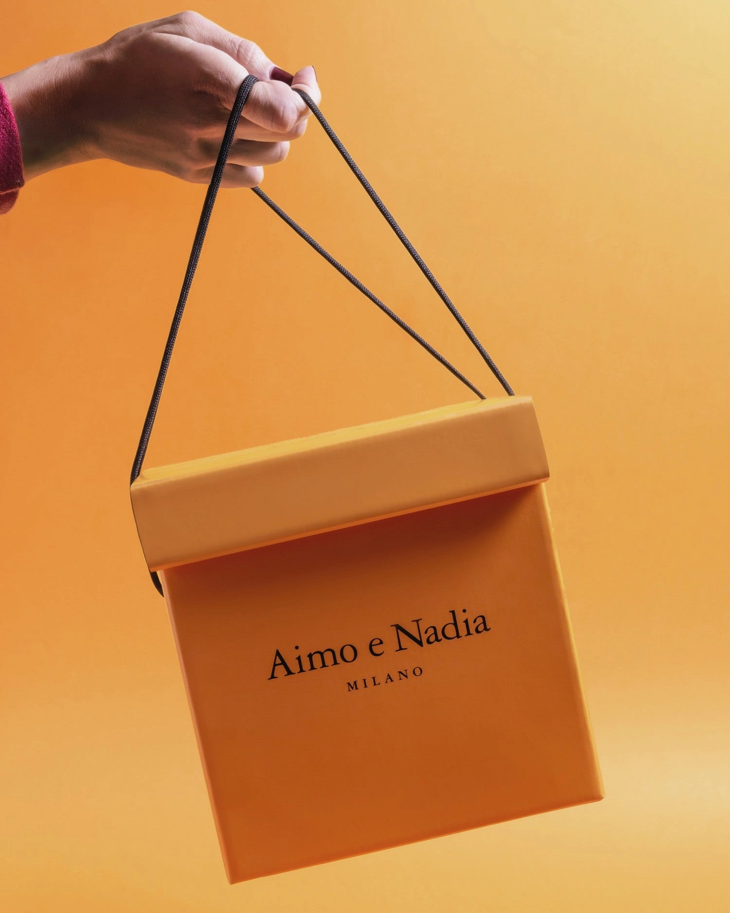 Pandoro Tradizionale - Aimo e Nadia 750 g 1 Pandoro Tradizionale - Aimo e Nadia 750 g 1