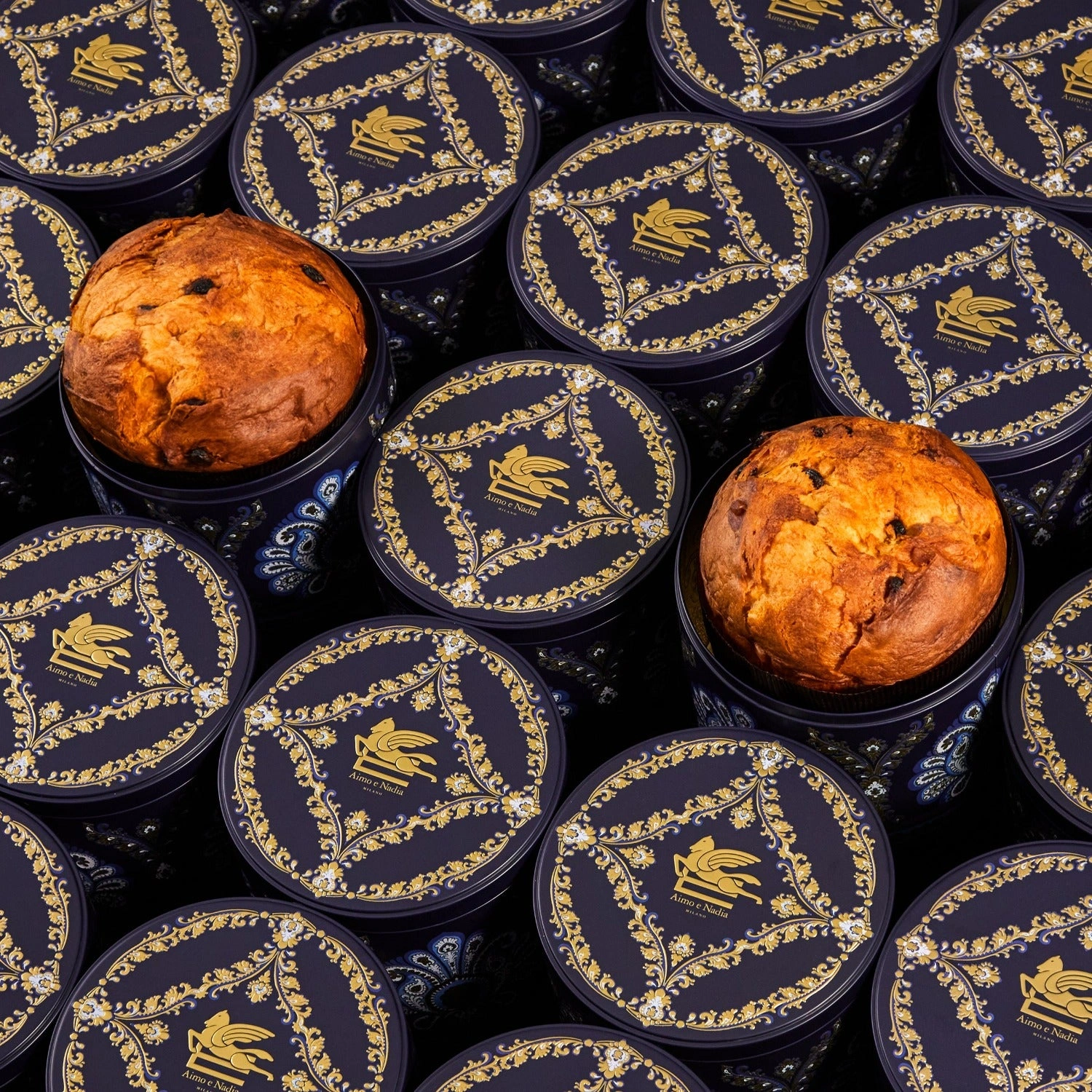 Panettone Tradizionale in Latta 1 Kg - Etro x Aimo e Nadia 1 Panettone Tradizionale in Latta 1 Kg - Etro x Aimo e Nadia 1