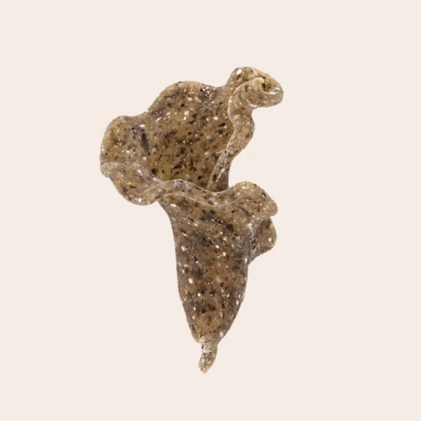 Gigli di Sorgo, Fagiolo Nero e Grano Saraceno - Legù 240 g 1