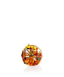 Sale con Mix di Aromi per Carne - Agripantel 220 g 1