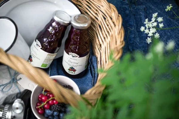 Smoothie di Mirtillo Nero BIO - Alpe Pragas 200 ml 1