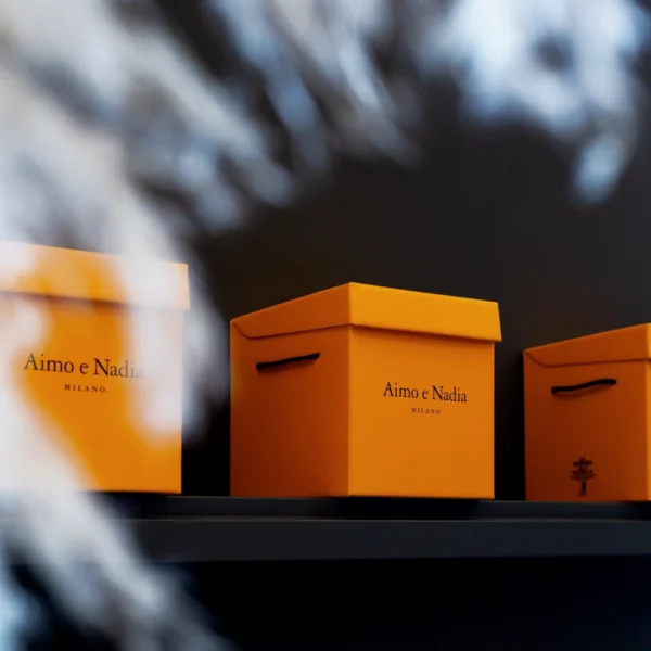 Pandoro Tradizionale - Aimo e Nadia 750 g 1