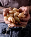 Cipolline Borettana in Agrodolce - Bottega Pavesi 330 g 1