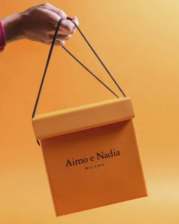 Pandoro Tradizionale - Aimo e Nadia 750 g 1