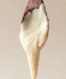 Crema Cocco e Mandorle - Bowlpros 200 g 1