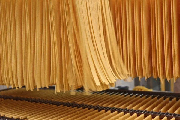 Tagliatelle Amalfitane all'Uovo - La Pasta di Aldo 250 g 1