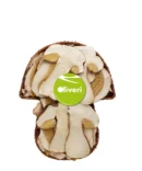 Funghi porcini secchi qualità extra in vassoio fungo regalo