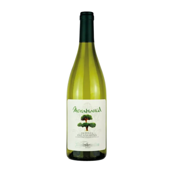 Irpinia DOC Falanghina Morabianca